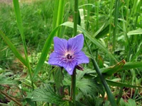 IMG_0027.webp