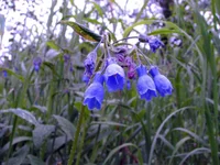 IMG_0030a.webp
