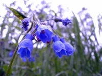 IMG_0031a.webp