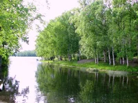 IMG_0105a.webp