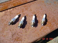 dsc00312.webp