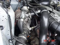 dsc00381.webp