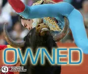 bull horn owned.webp