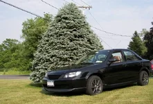 Picture 105crop.webp