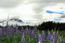 IMG_0085b.webp