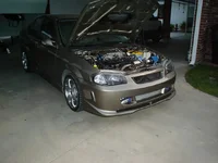 DSC02453.webp