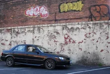 Picture 131crop.webp