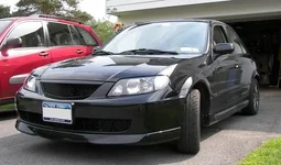 Picture 099crop.webp