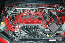 protege24.webp