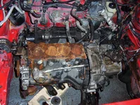 pics 041.webp