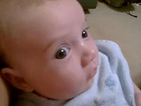 2mos01.webp
