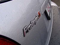 wet p5 3.webp