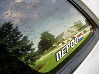 wet p5 6.webp