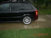 digPicturere 100.webp