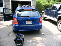 rears with fog.webp