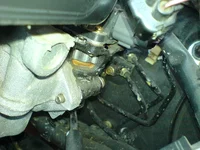 DSC00171.webp