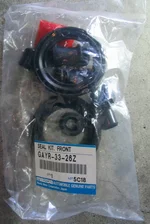 03 Seal Kit GAYR 33 26Z.webp