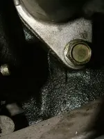 DSCF1978.webp