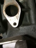 DSCF1983.webp