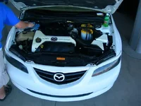 08_12_06 013 (Small).webp