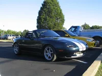 IMG_2070 (Large).webp