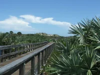 DSCF0630.webp