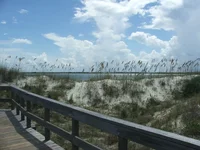 DSCF0633.webp