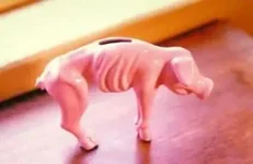 419piggybank5ll.webp