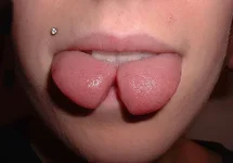 WhuTehFug050.webp