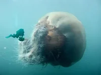 1e5eb62.webp
