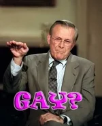 gayrumsfeld.webp