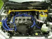 IMGP0499 (Large).webp