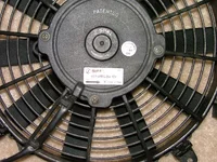 DSCF2081.webp