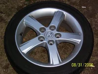 random pics 074.webp