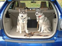 DSCF0070.webp