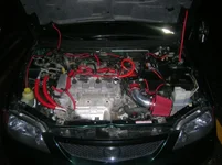 DSCN0507.webp