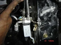 DSC02230.webp