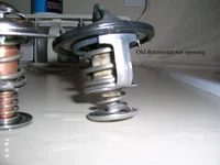DSCN1186.webp