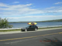 digPicture 118.webp