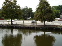 DSC02580.webp