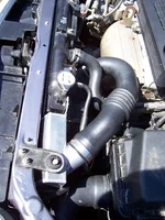 Picture 002.webp