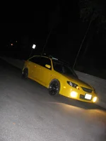 Random 080.webp