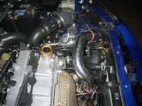 LTside.webp