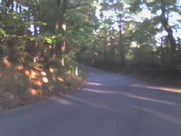 crazy.webp
