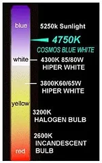 kelcolchart4750.webp