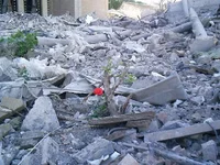 palace-flower-in-rubble.webp