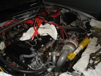 tear down 2.webp