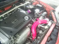S4021206.webp