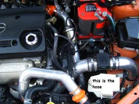 this hose.webp