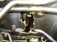 DSC00821.webp